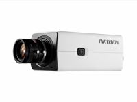 Камера видеонаблюдения HikVision DS-2CD2821G0 (AC24V/DC12V)