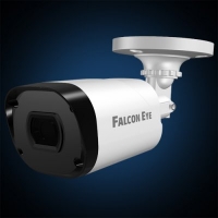 Камера видеонаблюдения Falcon Eye FE-MHD-B5-25